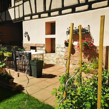 Le Gite De Coco Riquewihr Buitenkant foto