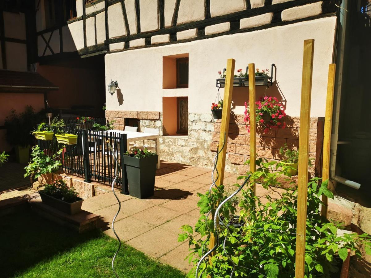 Le Gite De Coco Riquewihr Buitenkant foto