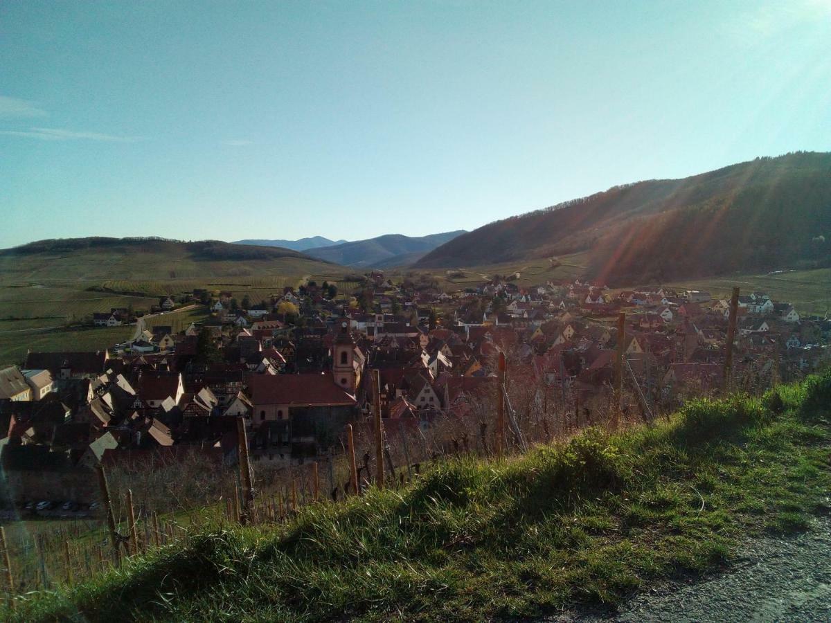 Le Gite De Coco Riquewihr Buitenkant foto